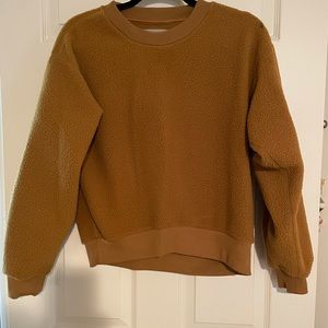 Everlane Sweatshirt